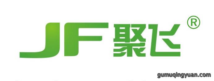 聚飞光电