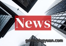 环保政策持续加码，国内市场高速发展
